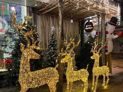 Set 2 - 4 miếng Tuyết tan mút Bitis dày 2ly [2 size] TUYETTAN-02